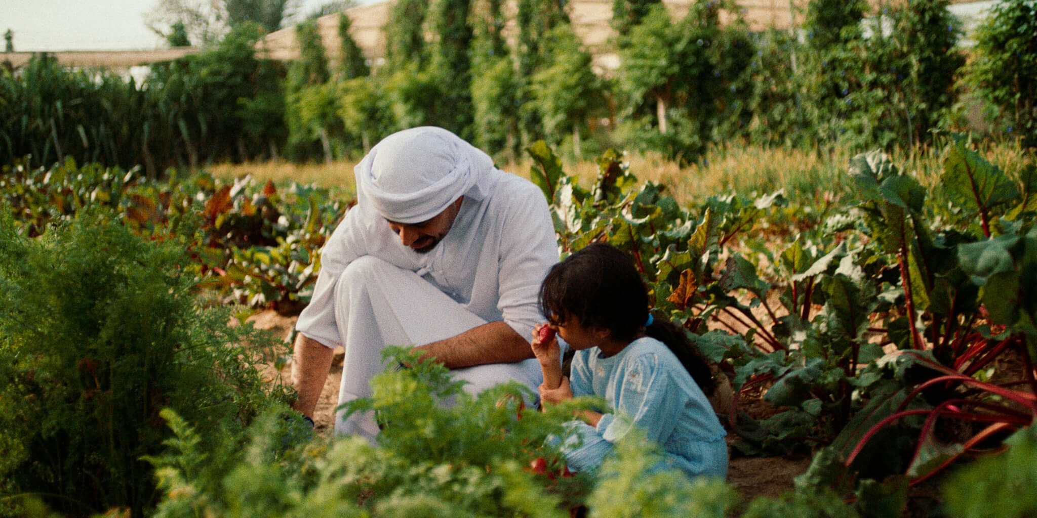 YOS - Planting Trees 1.jpg