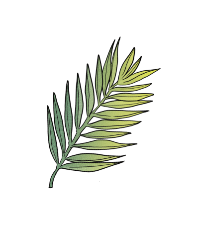 frond.png