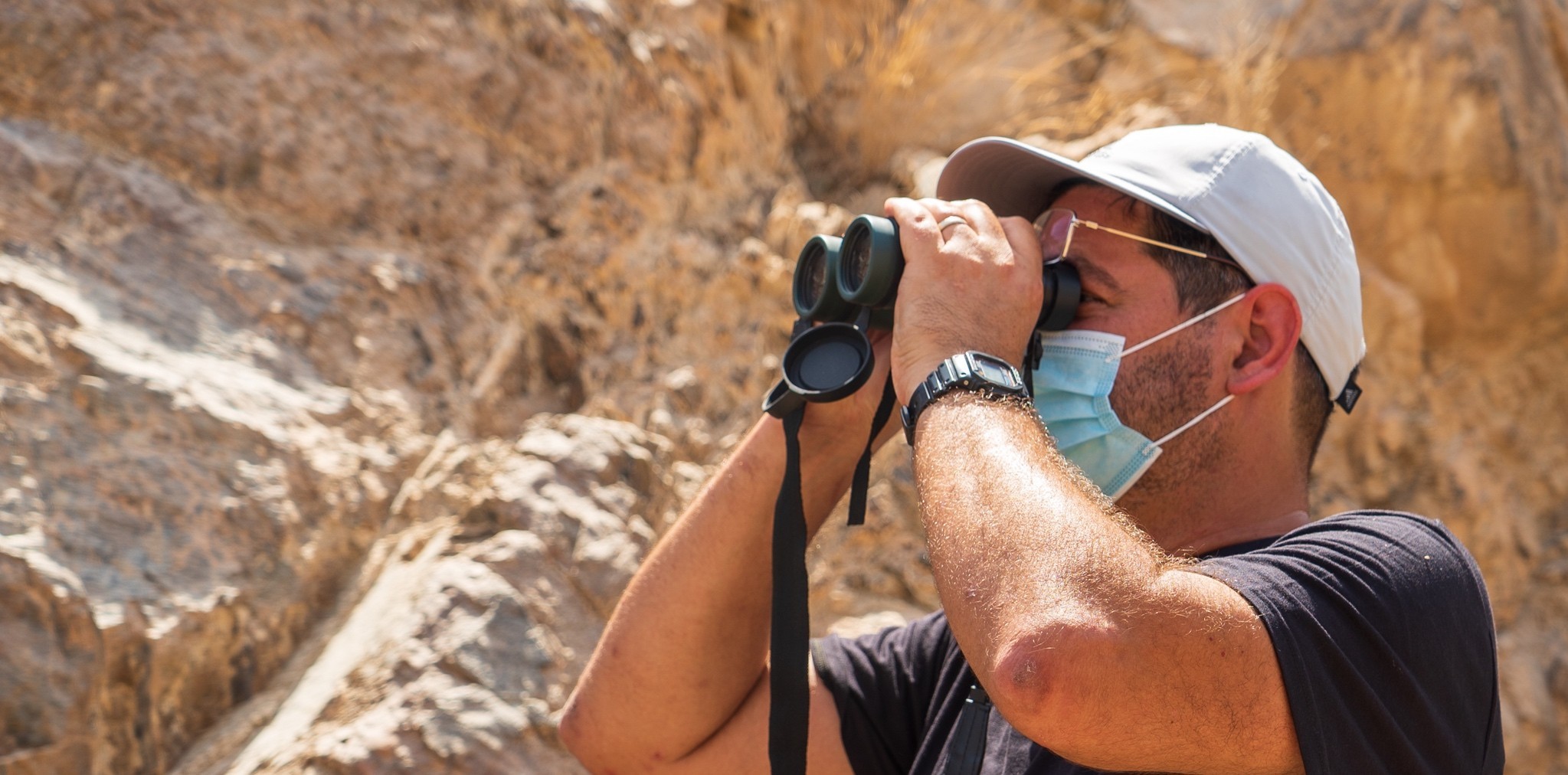 Track Terrestrial Wildlife (with Cameras)