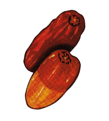 LIFE-ON-LAND_14 9 (1).png